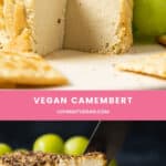 Vegan Camembert