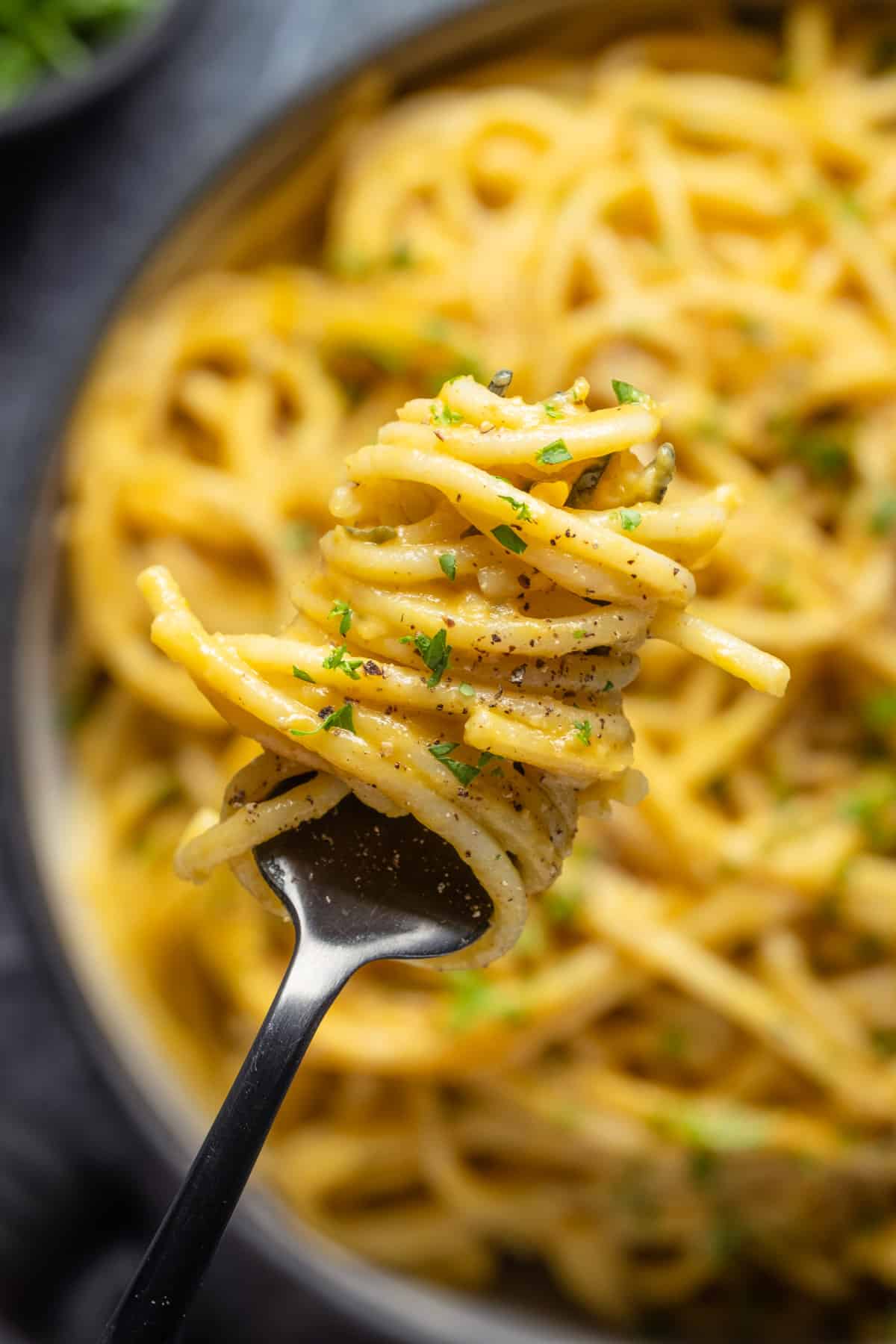 Forkful of pumpkin pasta.